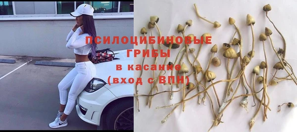 спайс Арсеньев