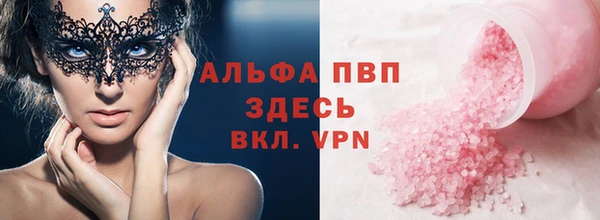 спайс Арсеньев