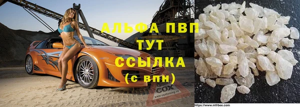 спайс Арсеньев