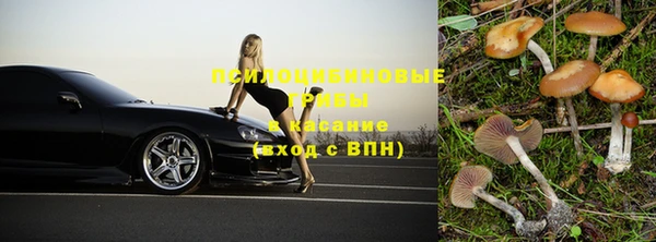 ПСИЛОЦИБИНОВЫЕ ГРИБЫ Балахна