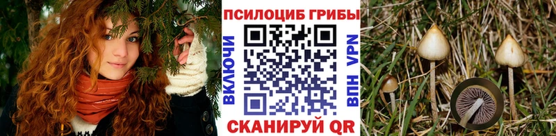 Галлюциногенные грибы Magic Shrooms  магазин    Нижние Серги 